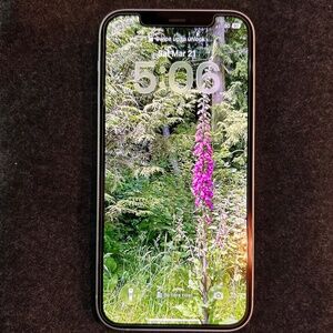 iPhone 12, unlocked, 64gb with extras